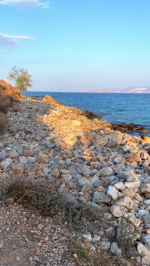 Evening sunset on the seashore. Vertical video Stock Footage 287342070