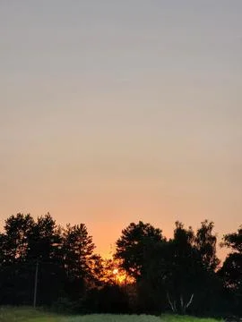 Evening Sunset Sky Above Tree Silhouettes Stock-Fotos