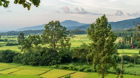 Evening sunset sky over the rice paddy field in Nan province, Thailand Stock Footage 219791242