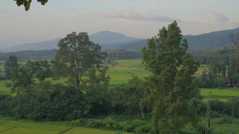 Evening sunset sky over the rice paddy field in Nan province, Thailand Stock Footage 219791285