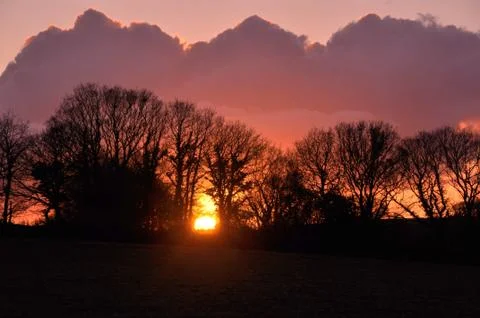 Evening sunset sleeping trees in the mountains Stock Photos