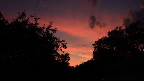 Evening Sunset Is Slowly Setting Behind The Trees 스톡 동영상 145827966