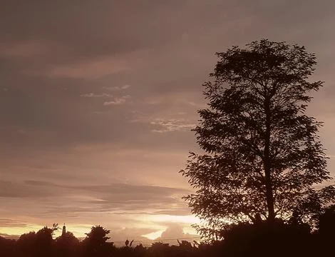 Evening sunset view Stock Photos