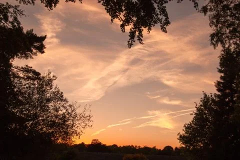 Evening sunsetting sky framed by tree branches Stock Photos
