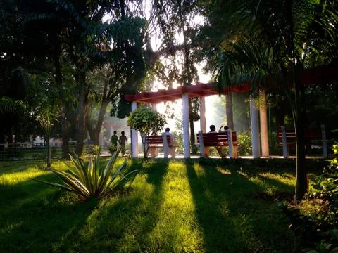 Evening Sunshine Stock Photos