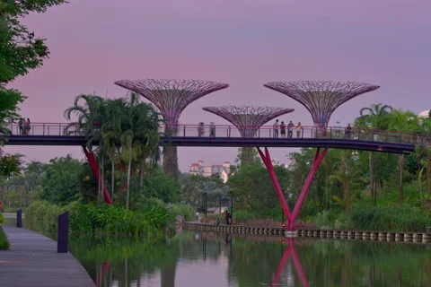 Evening supertrees bridge blue hour people Stock Footage 141318733