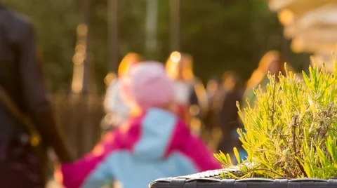 Evening surroundings Stock Footage 50528702