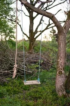 Evening swing Stock Photos