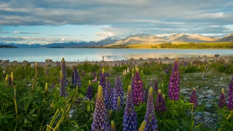 Evening on Tekapo Lake Stock Footage 90761881