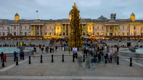 Evening time lapse view of the Christmas Tree and Market at Trafalgar Square Stock Footage 319026888