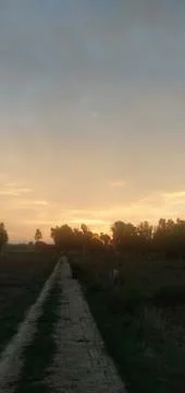 Evening time 写真素材