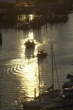 Evening time Фото