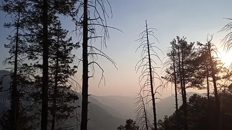 Evening time vibes Video stock 148685512