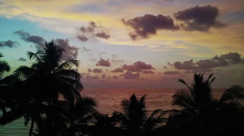 Evening timelapse - palm tree on background of tropical ocean 库存影片 23327153