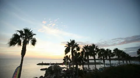 Evening timelapse with palm trees Stock Footage 12712729