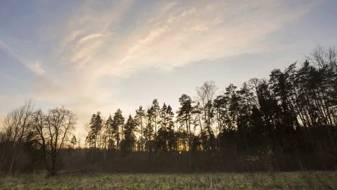 Evening timelapse with sky over forest and grassland Stock Footage 82808425