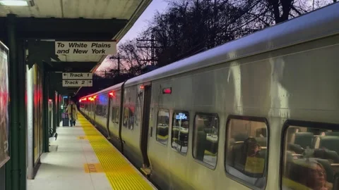 The evening train arrives meticulously at the bustling station, marking the end Vídeo Stock 295073604