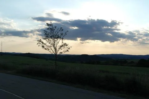 Evening tree landscape Stock Photos
