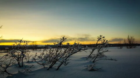 Evening on the tundra Stock Footage 60489853