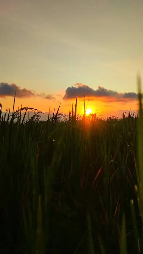 Evening twilight Stock Footage 247411357