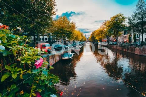 Evening twilight over beautiful Amsterdam canals in autumn. flowers in Stock Photos