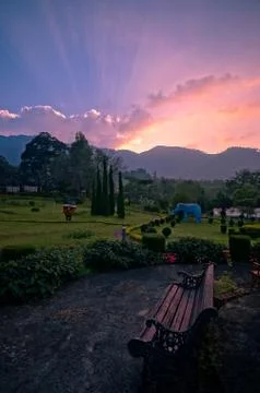 Evening twilight in the park Stock Photos