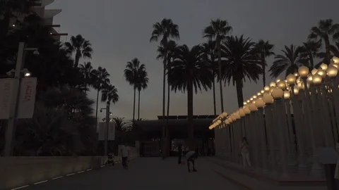 Evening “Urban Light” L,A,C,M,A, Stock Footage 122392515