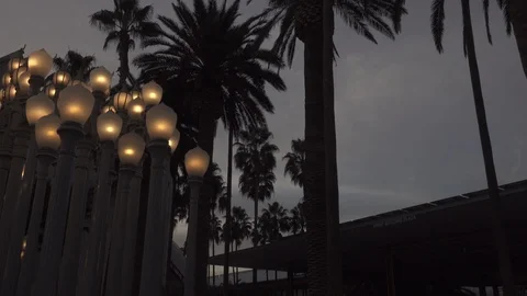 Evening “Urban Light” L,A,C,M,A, Stock Footage 122403928