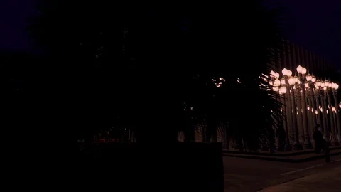 Evening “Urban Light” L,A,C,M,A, Stock Footage 126350685