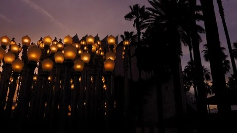 Evening “Urban Light” L,A,C,M,A, Stock Footage 126354683