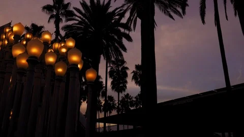 Evening “Urban Light” L,A,C,M,A, Stock Footage 126354877