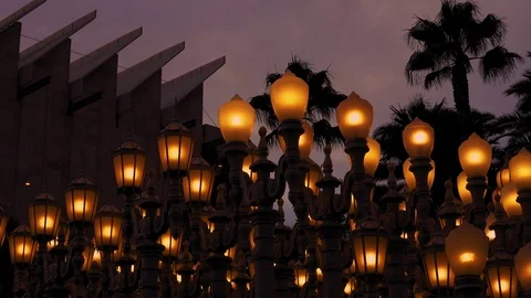 Evening “Urban Light” L,A,C,M,A, Stock Footage 126355132