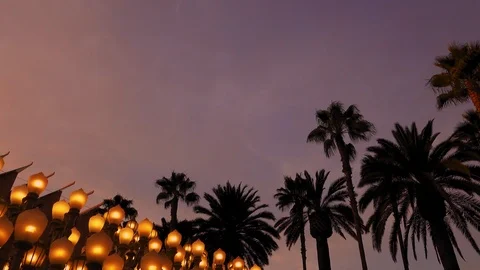 Evening “Urban Light” L,A,C,M,A, Stock Footage 126356375