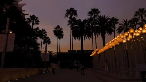 Evening “Urban Light” L,A,C,M,A, Stock Footage 126357069