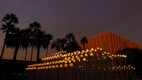 Evening “Urban Light” L,A,C,M,A, Stock Footage 126357098