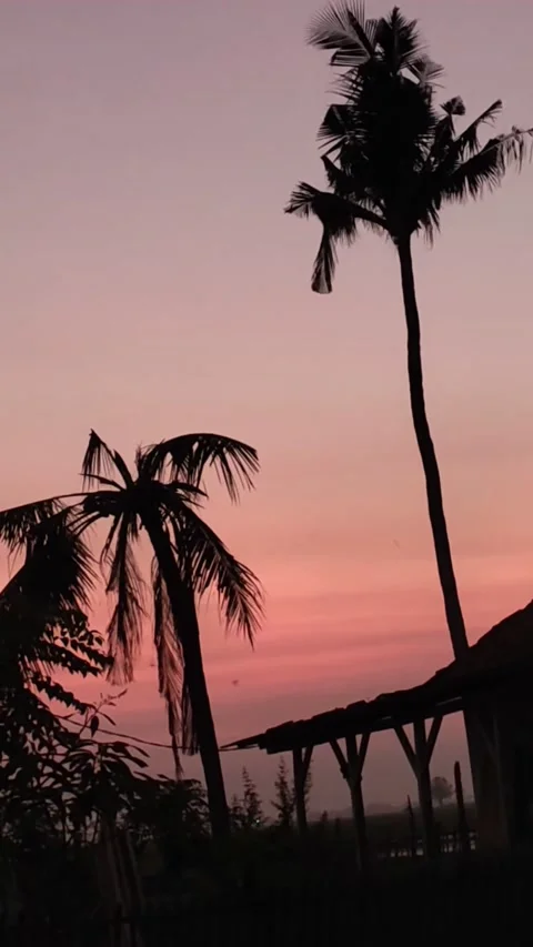 This evening view amazes with an amazing mix of sky colors Stock Footage 224281530