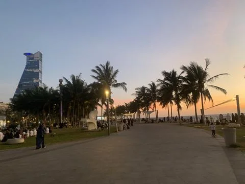 The evening view and the palm trees Stock Photos