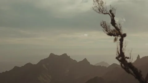 Evening view of branch infront of mountains in Tenerife Stock Footage 328242115