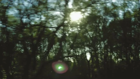 Evening view from the car window, sunset, sun rays and glare Stock Footage