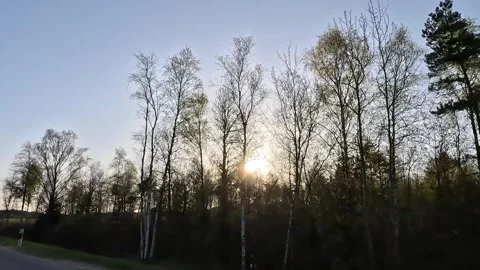 Evening view from the car window, sunset, sun rays and glare through trees Stock Footage 240661461