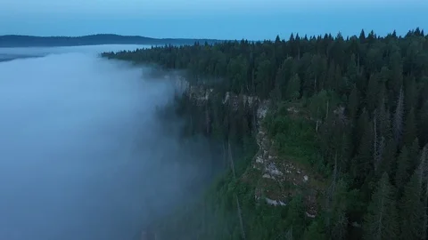 Evening view of a cliff with trees covered by fog Stock Footage 120112666