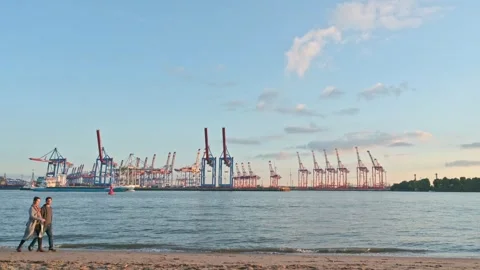 Evening View of a Container Terminal in Hamburg - Germany Video stock 318361613