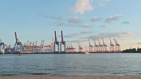 Evening View of a Container Terminal in Hamburg - Germany Video stock 318361783