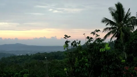 Evening view Stock-Footage 331816557