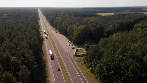 Evening view of the forest crossed by a road. Stock Footage 169483031