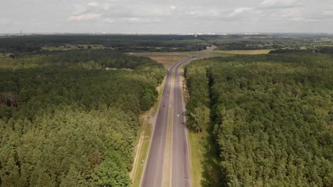 Evening view of the forest crossed by a road. 動画素材 169502264