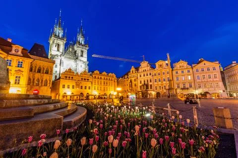 Evening view of the patch of tulips at the Old Town square in Prague, Czech R Stock Photos