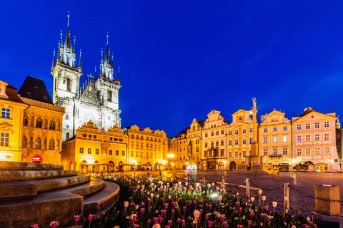 Evening view of the patch of tulips at the Old Town square in Prague, Czech R Stock Photos
