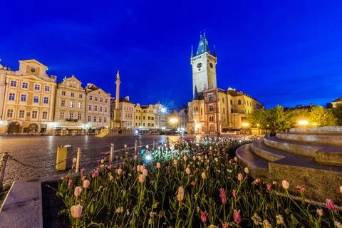 Evening view of the patch of tulips at the Old Town square in Prague, Czech R Stock Photos