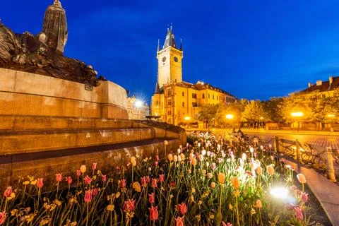 Evening view of the patch of tulips at the Old Town square in Prague, Czech R Stock Photos